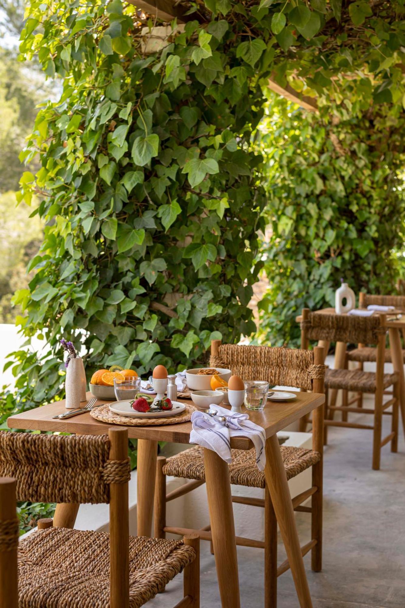 סן חוזה דה סא טלאיה Boutique Hotel Jardines De Palerm מראה חיצוני תמונה