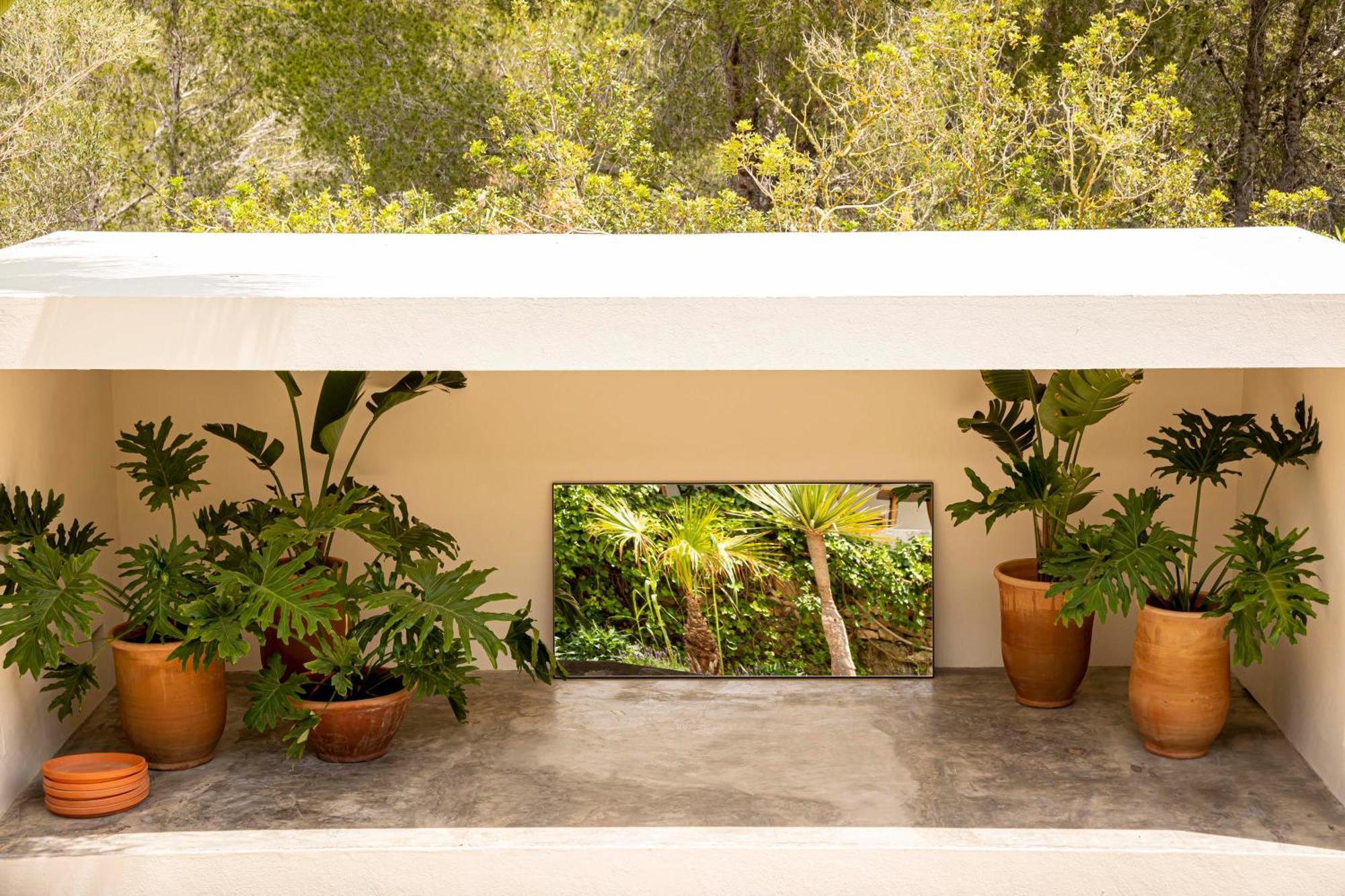 סן חוזה דה סא טלאיה Boutique Hotel Jardines De Palerm מראה חיצוני תמונה