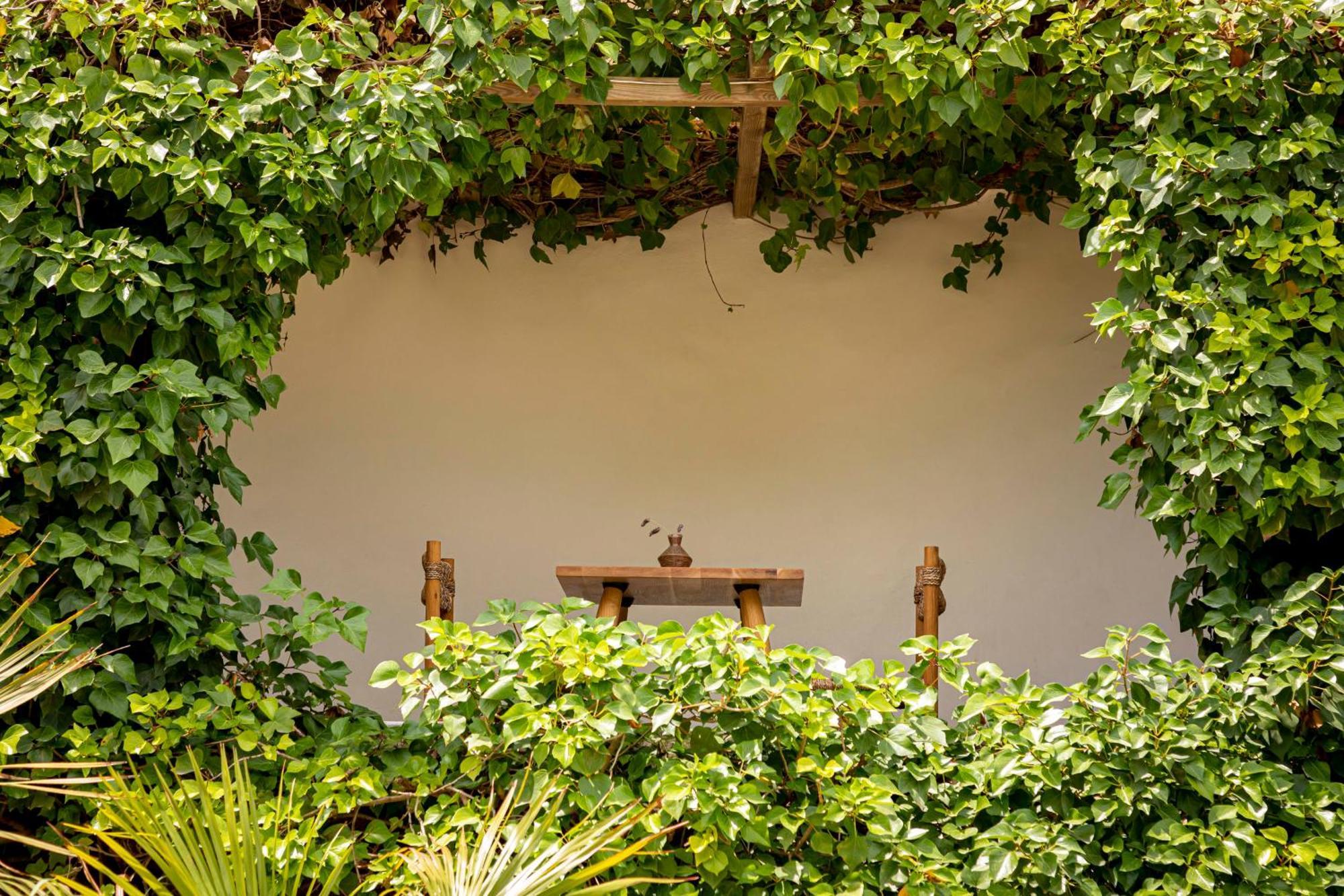 סן חוזה דה סא טלאיה Boutique Hotel Jardines De Palerm מראה חיצוני תמונה