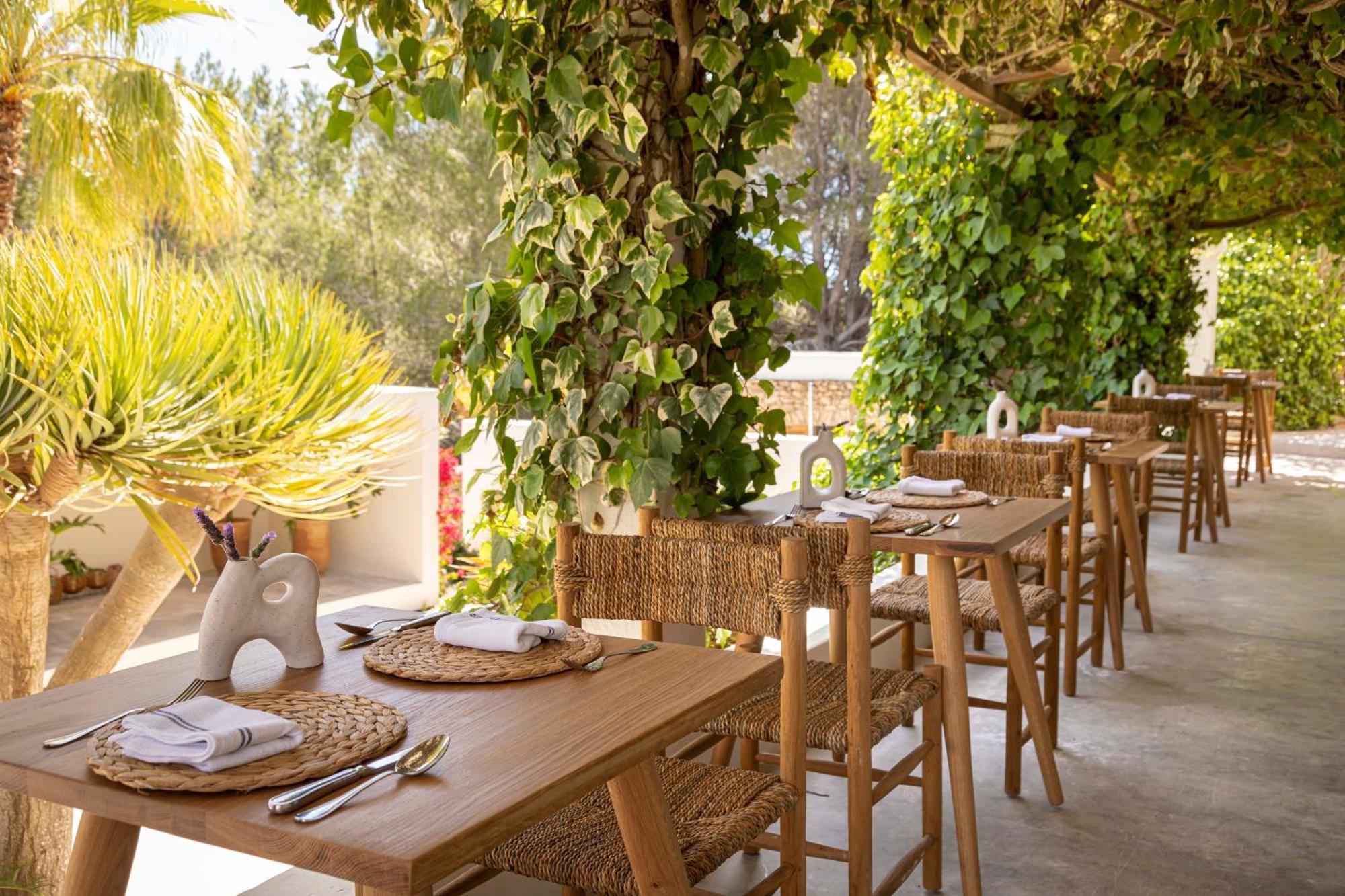 סן חוזה דה סא טלאיה Boutique Hotel Jardines De Palerm מראה חיצוני תמונה