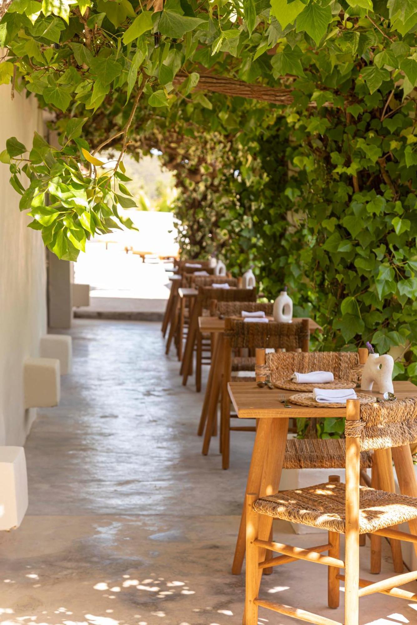 סן חוזה דה סא טלאיה Boutique Hotel Jardines De Palerm מראה חיצוני תמונה