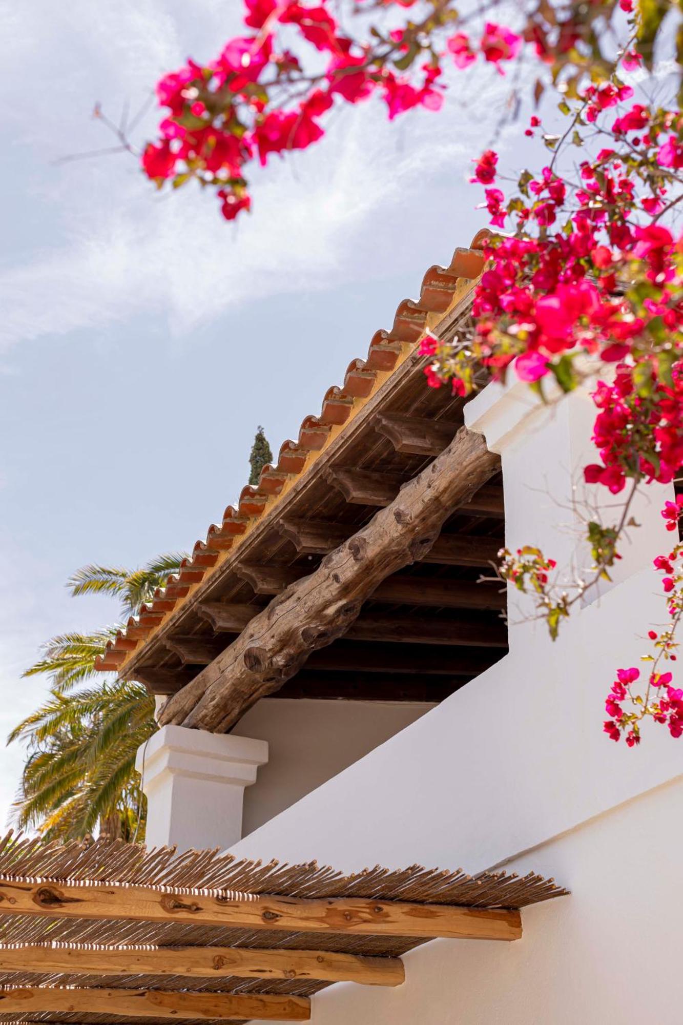 סן חוזה דה סא טלאיה Boutique Hotel Jardines De Palerm מראה חיצוני תמונה